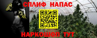 СК Ипатово