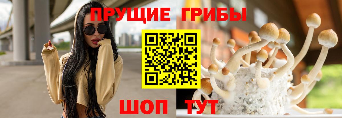 Псилоцибиновые грибы мицелий  Вход с VPN  Лениногорск  Галлюциногенные грибы ЛСД 